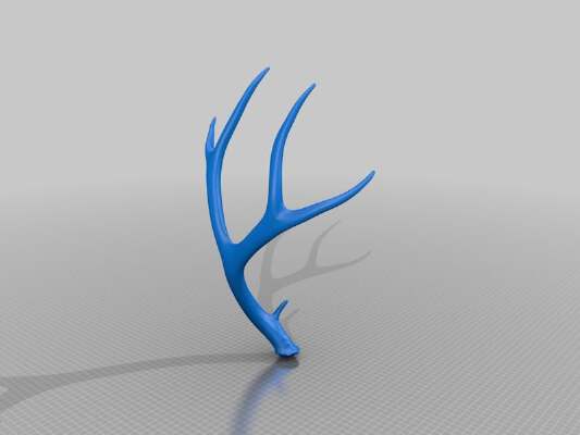 Deer Antler, hi resolution scan | 3d print model