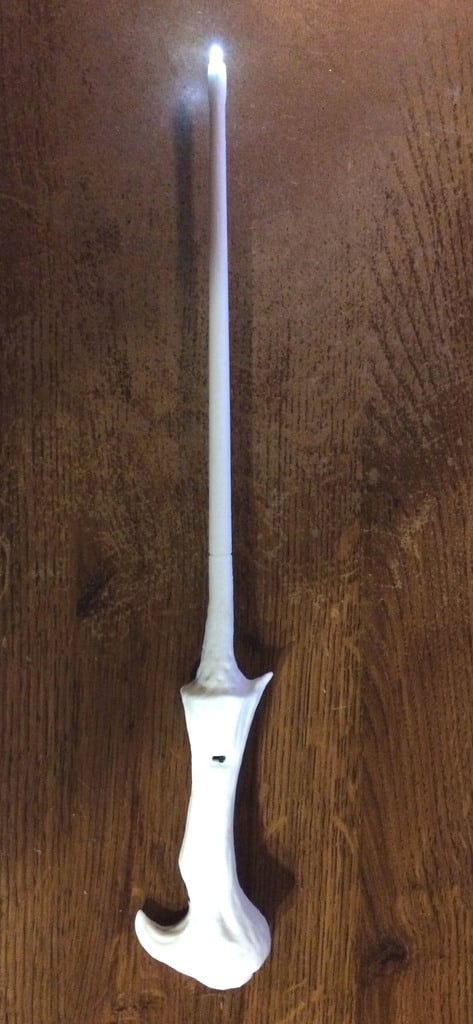 Light Up Wand - Voldemort Wand