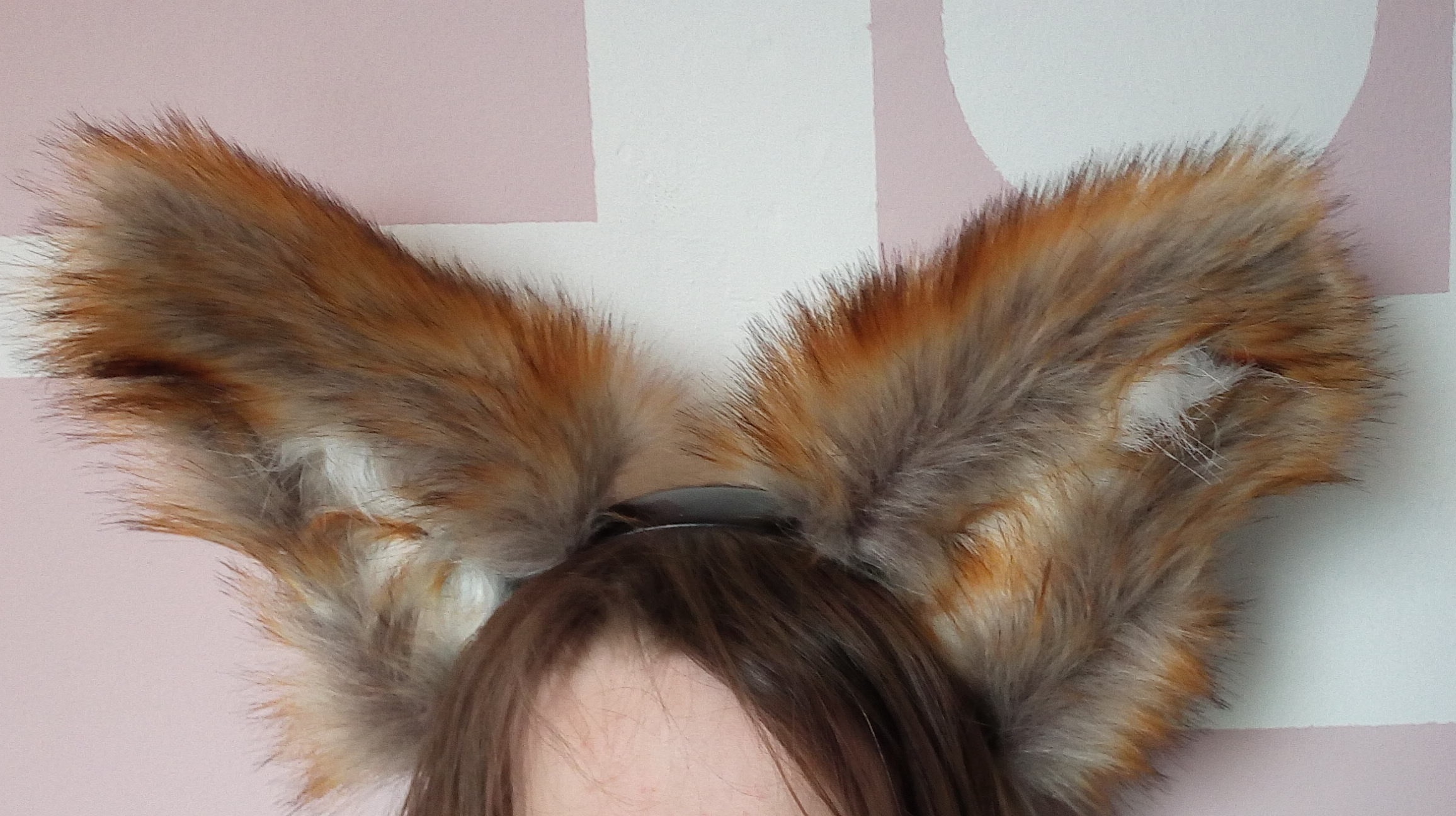 Canine Animal_furry head Ears