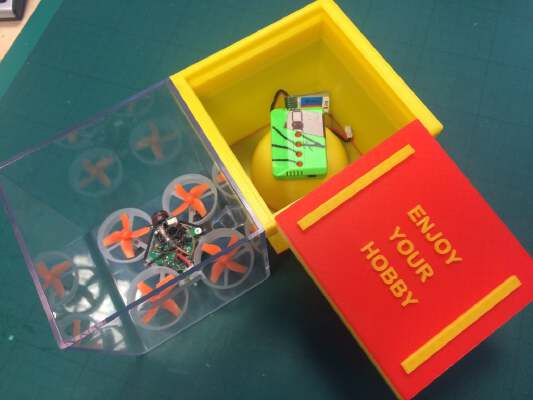 Box for TIny Whoop Eachine E010S 65mm Micro FPV Racing Quadcopter | 3d print model