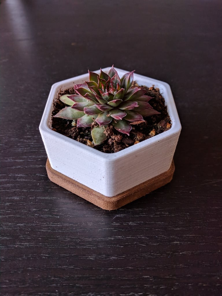 Hexagonal Planter Small