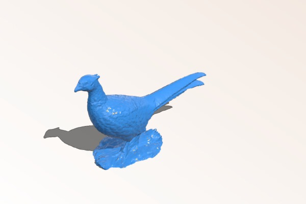 Updated Rooster Pheasant | 3d print model