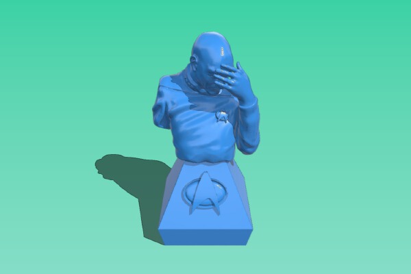 Picard Facepalm (One-piece Bust) | 3d print model