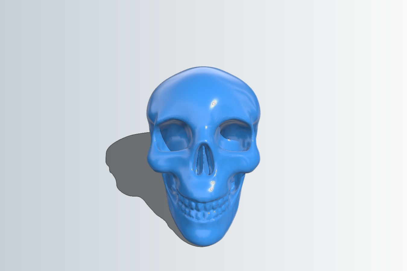 Human Skull