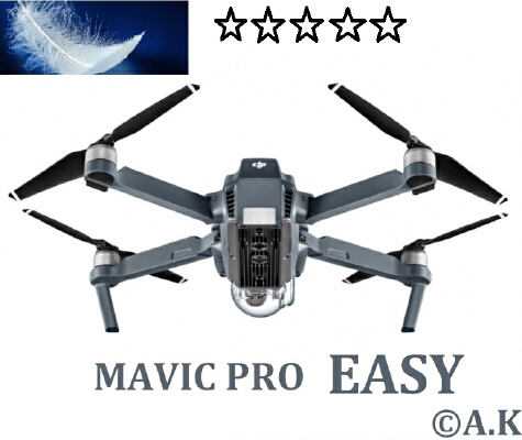 MAVIC PRO EASY | 3d print model