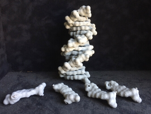 Modular DNA base pair surfaces | 3d print model