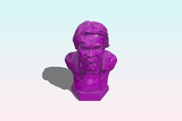 Mr Frank Gallagher bust | 3d print model