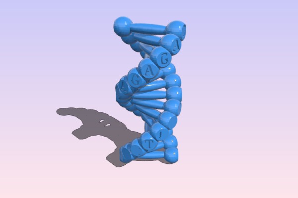 Modello semplice di DNA | 3d print model