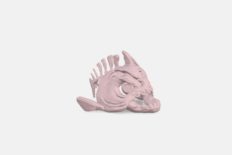 fish skeleton