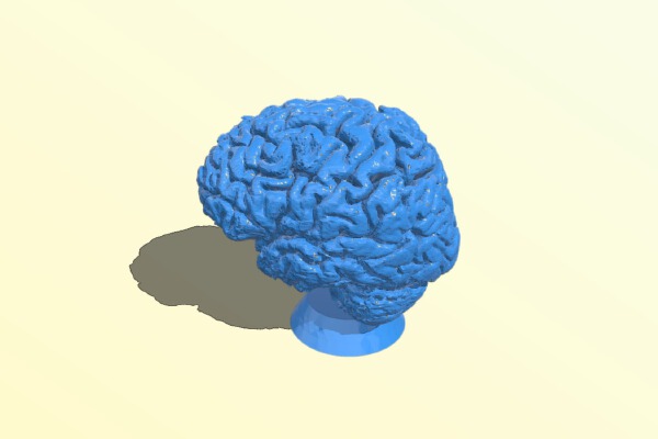 Human brain | 3d print model