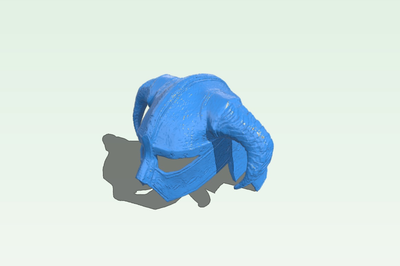 Helmet