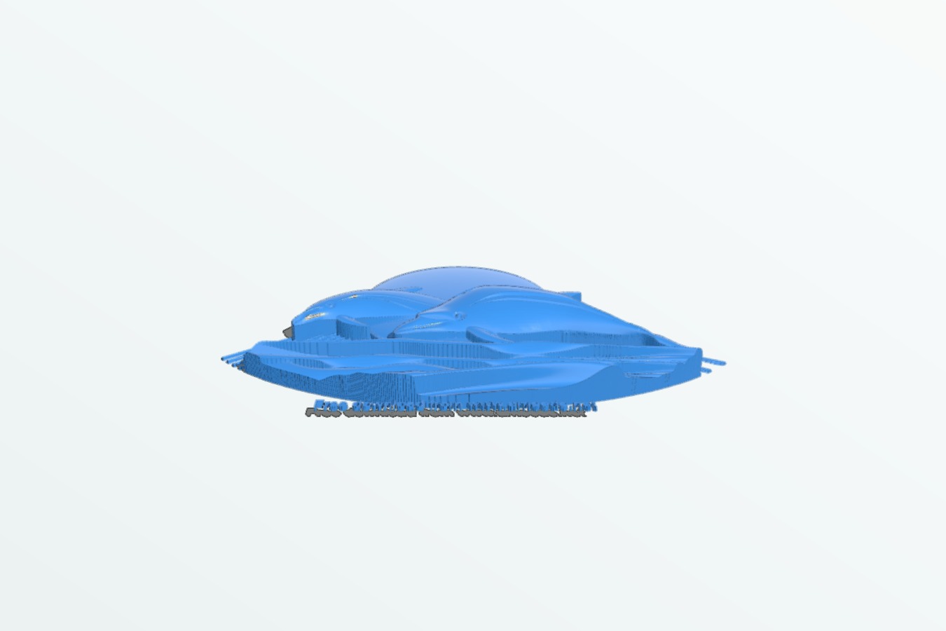 Dolphins