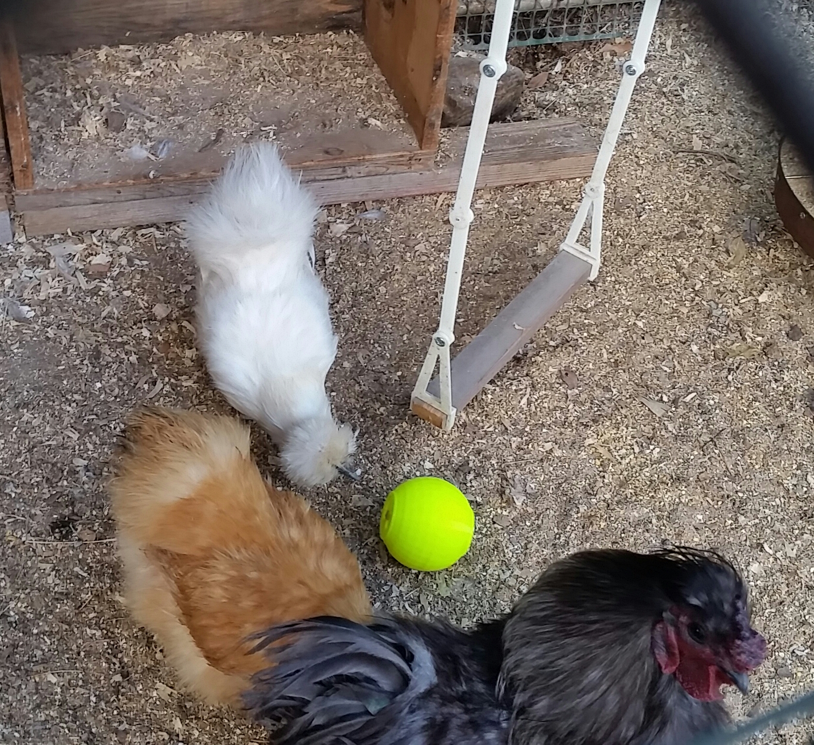 16a2c0cb-8f1b-4c42-ab9f-077f0662b23e