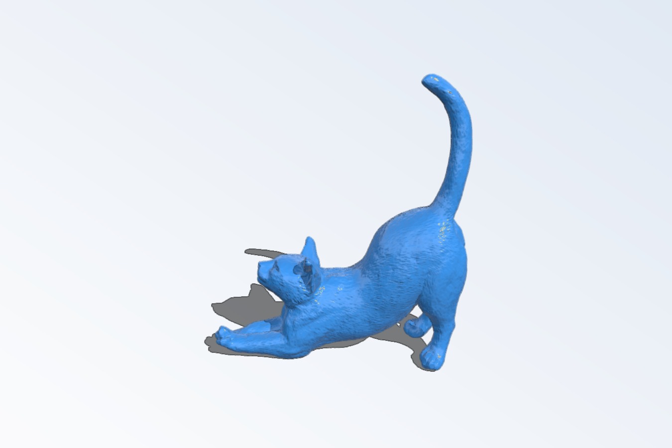 Cat stretch