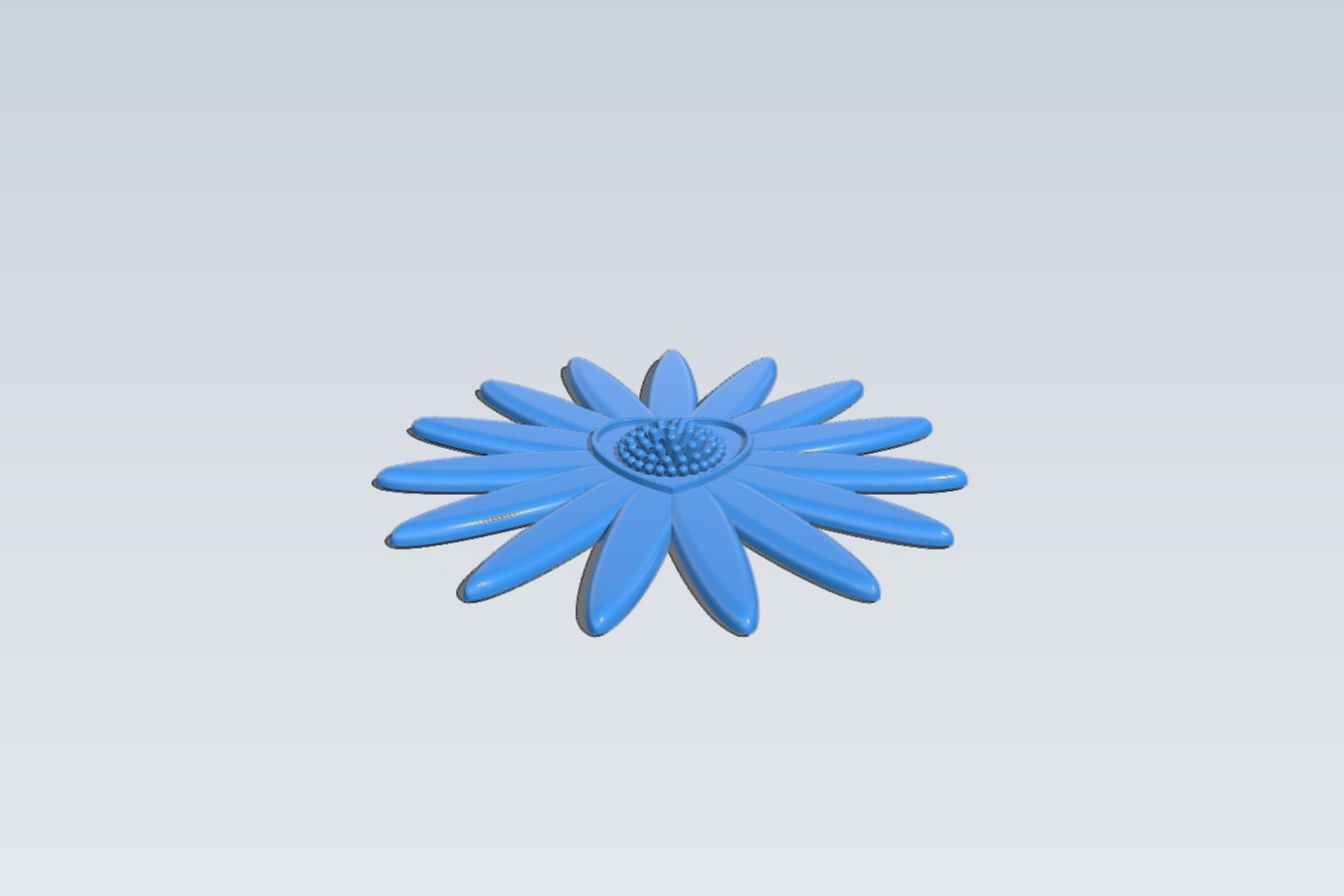 Daisy Love Flower