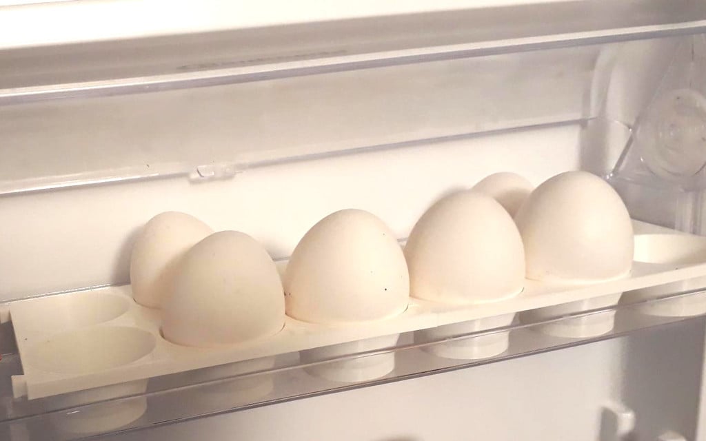 Egg Holder for Smaller Fridges, too
