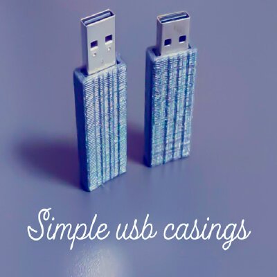 Simple USB Casing | 3d print model