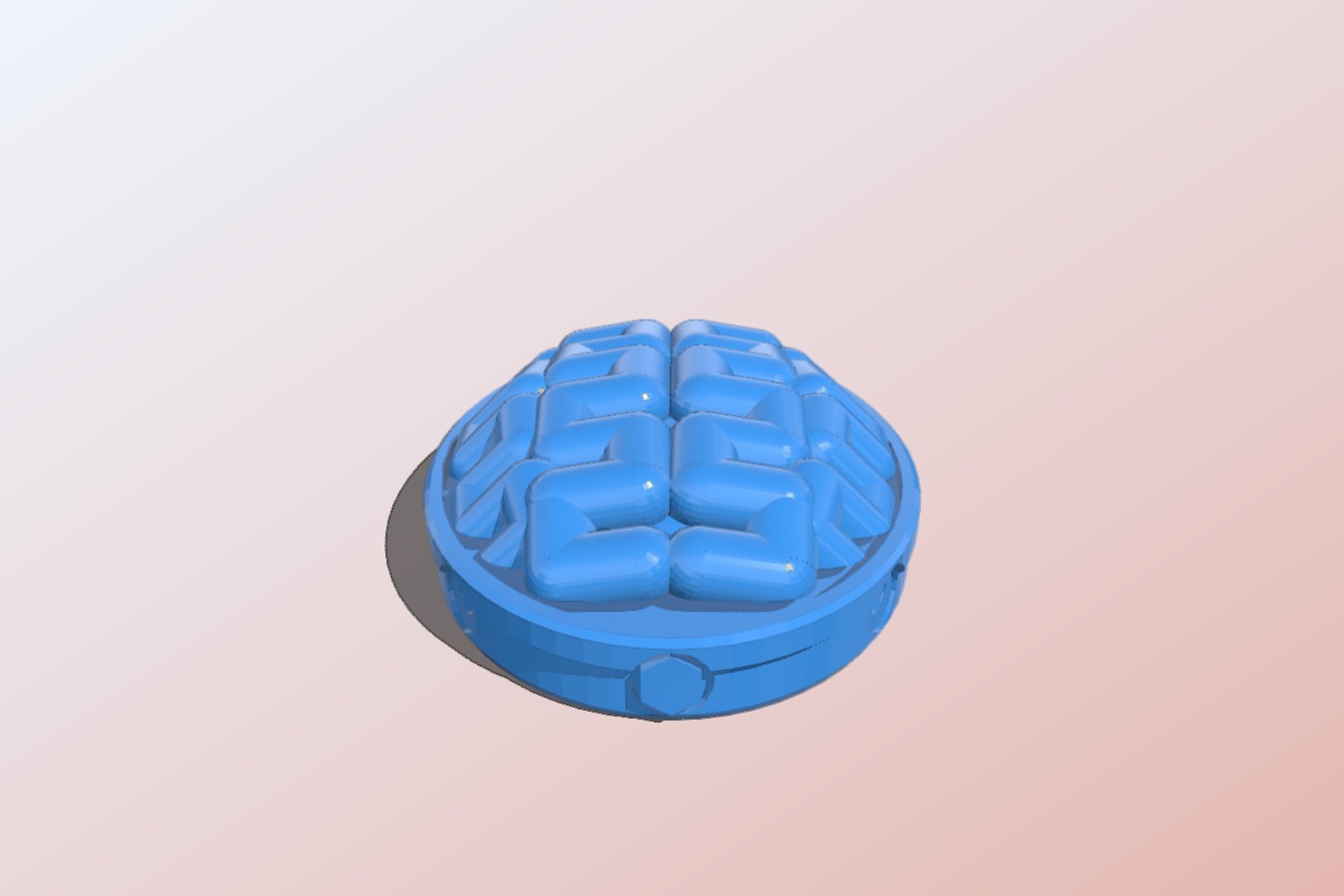 Brain