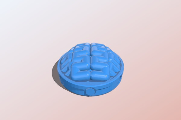 Brain | 3d print model