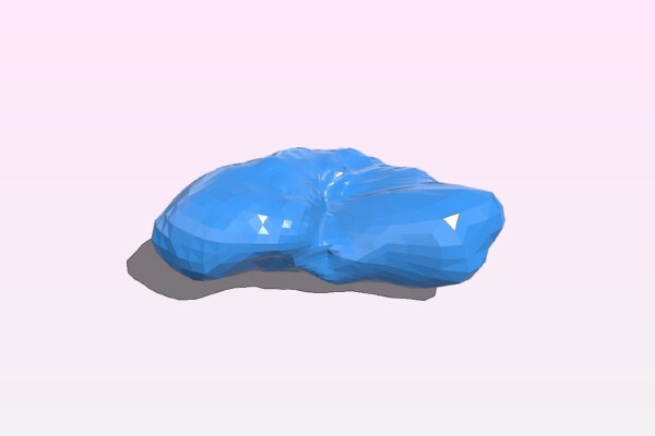 243 Ida Asteroid | 3d print model