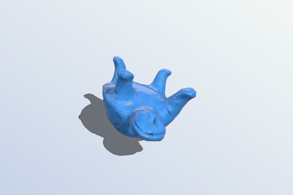 Ocarina – turtle | 3d print model