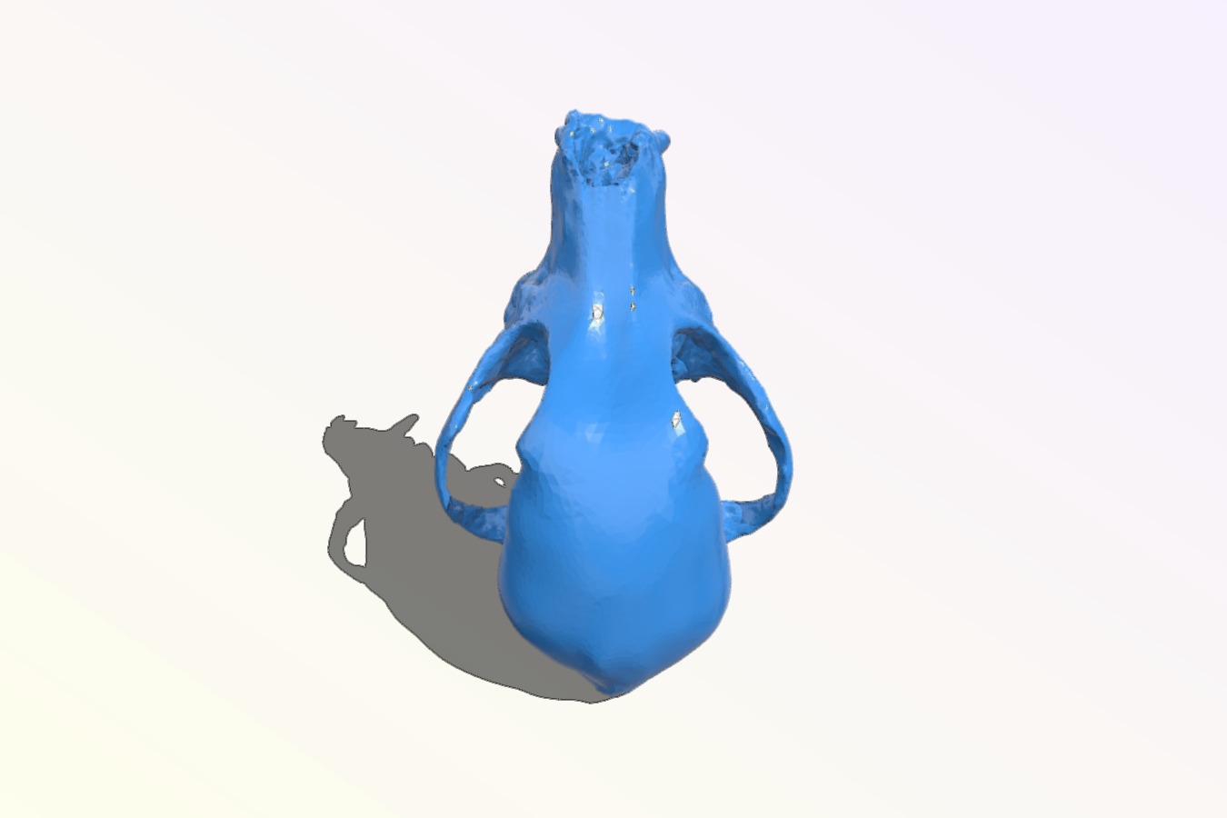 Bitey the Dog Skull