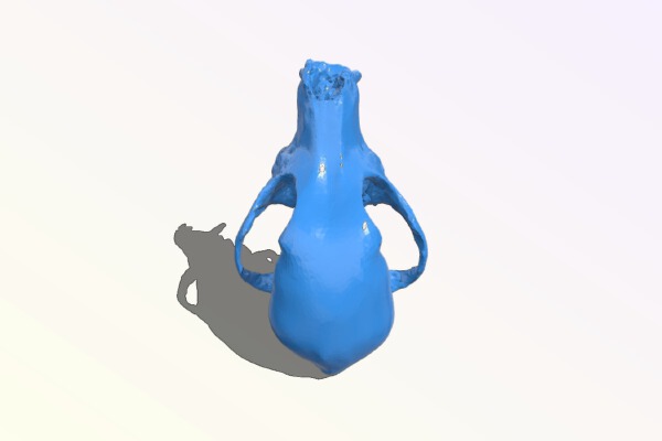 Bitey the Dog Skull | 3d print model