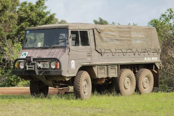 Steyr-Puch Pinzgauer 712 with variants | 3d print model