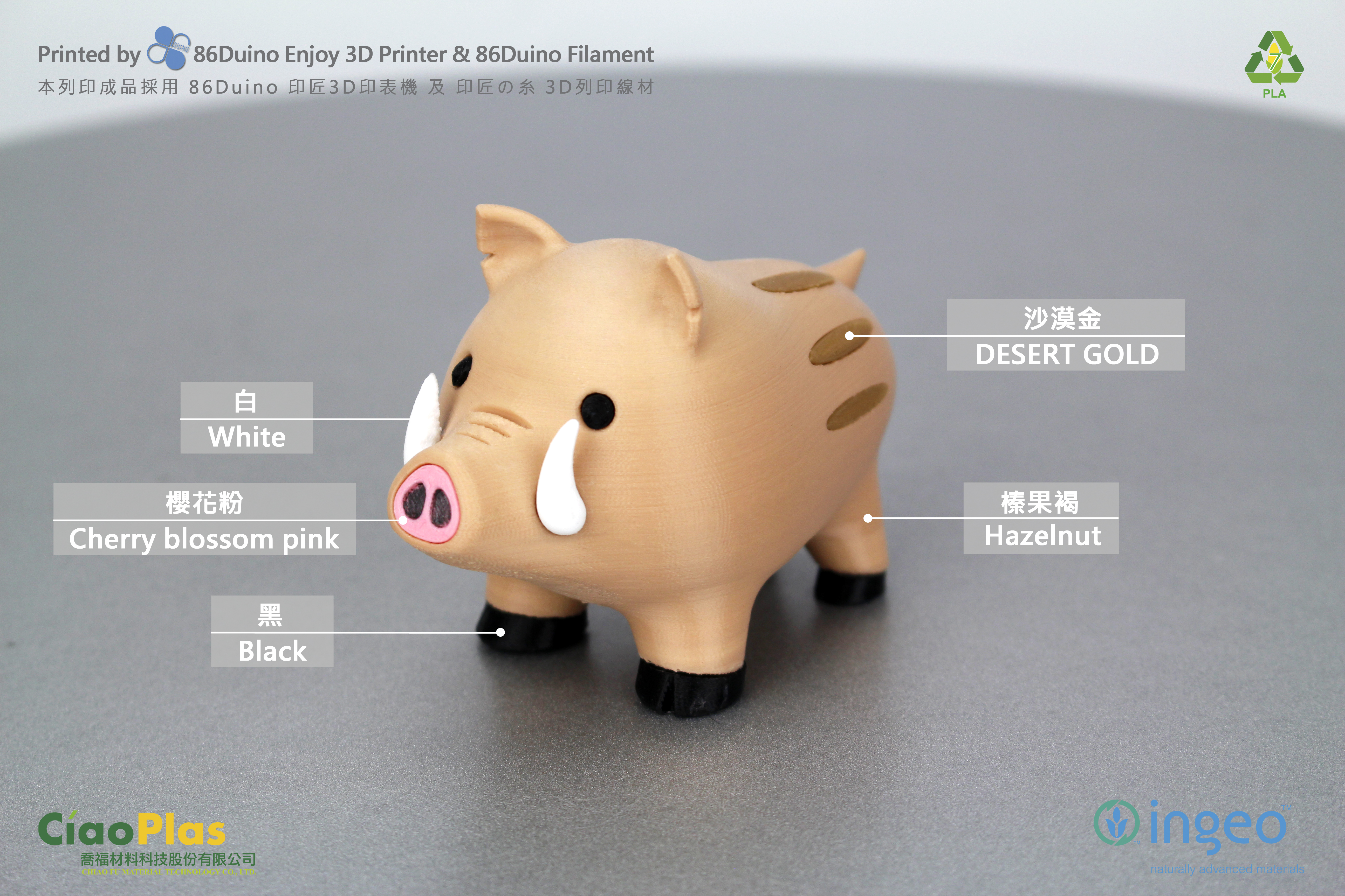 Sus scrofa _ Wild Pig _ 野豬  _ 山豬 _ 豚