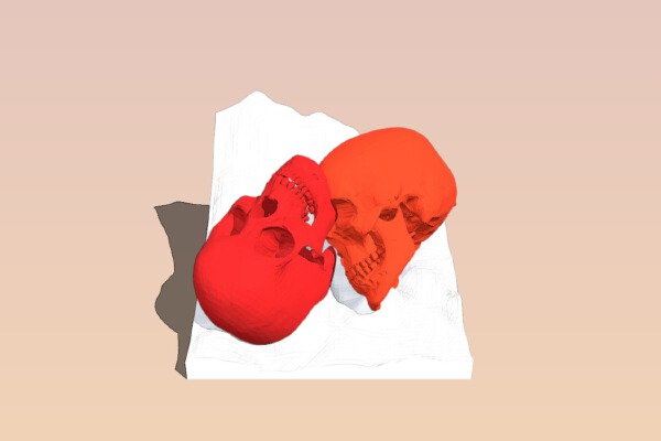 Cheerful Skulls (multimaterial) | 3d print model