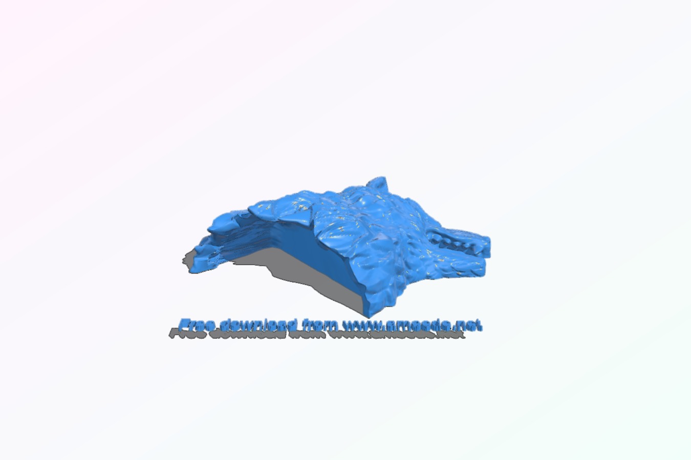 Wolf head