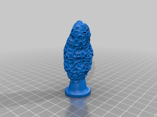 Fungii Plants | 3d print model