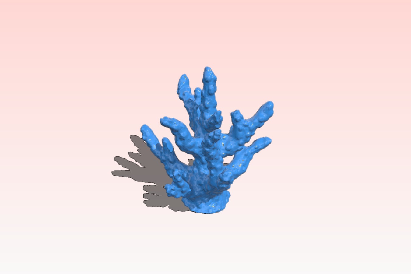 Coral (Smaller) (Perfected Scan)