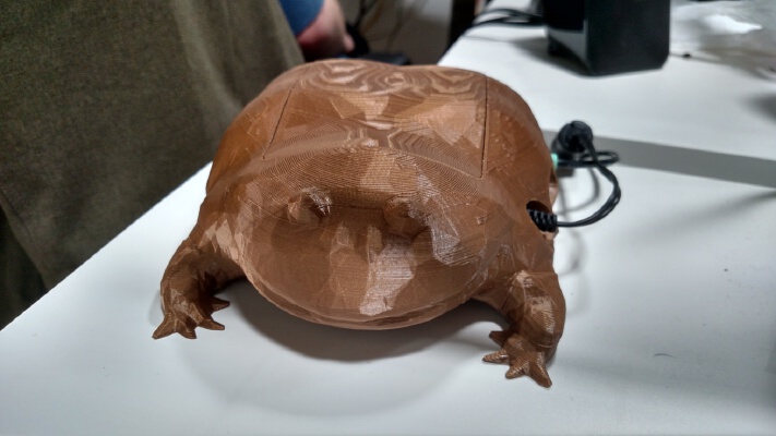 Wednesday Frog Raspberry Pi Case | 3d print model