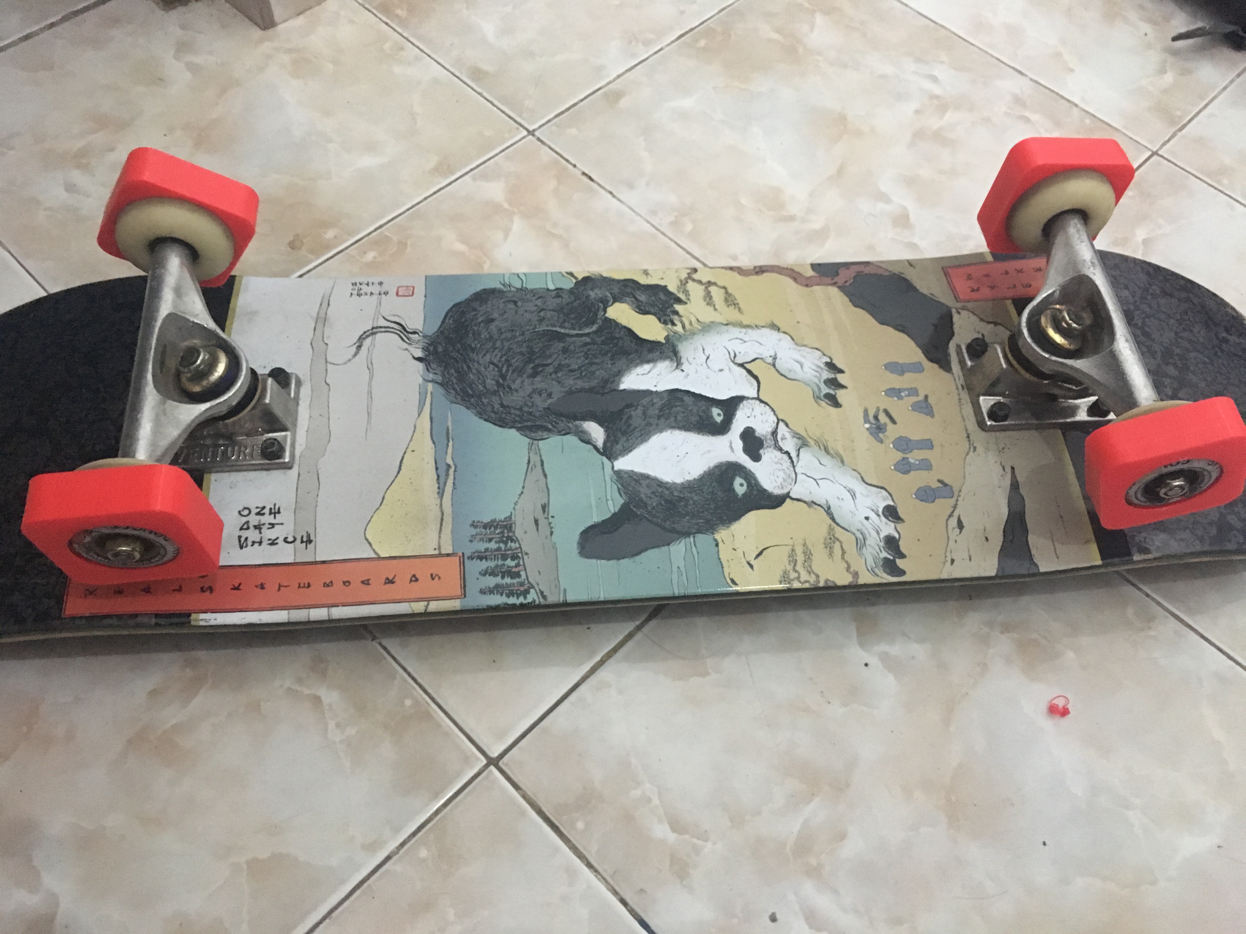 Skater Trainers