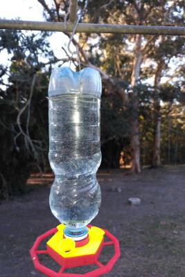 Sunbird Feeder | 3d print model