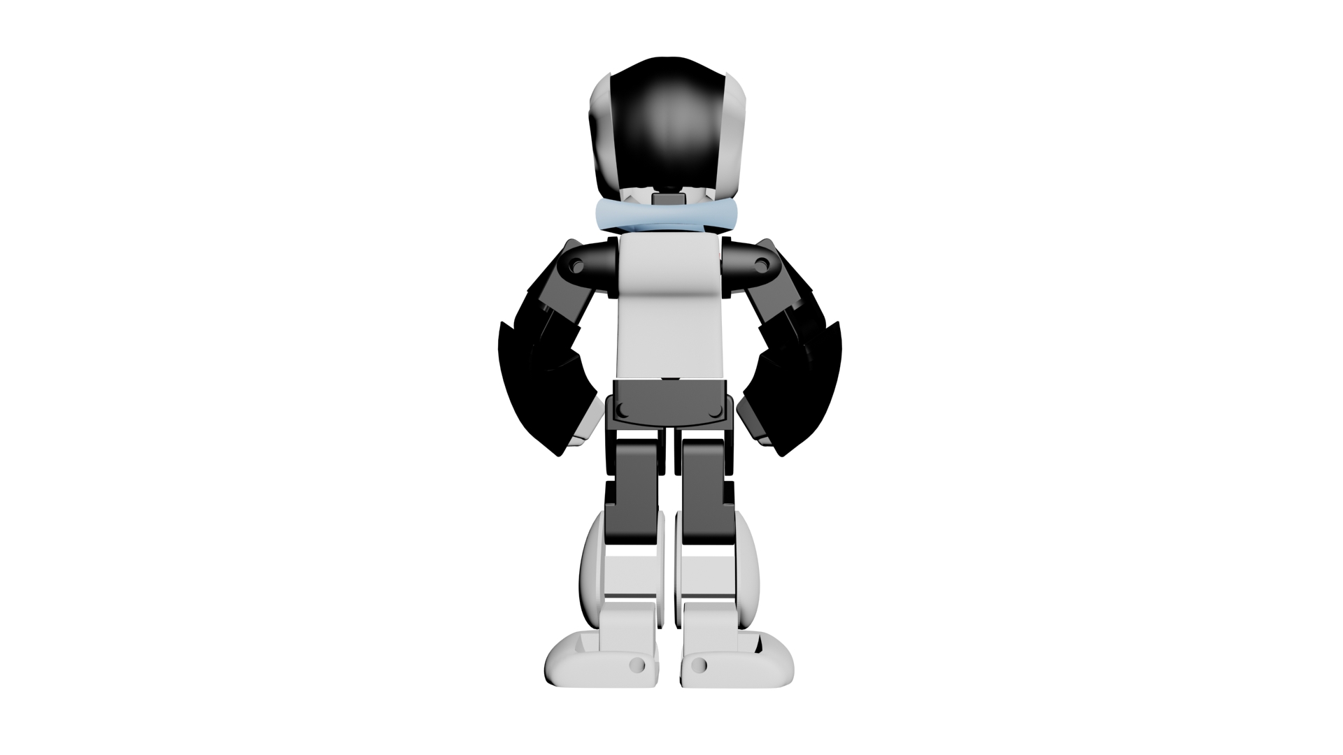 Robi the Action Figure
