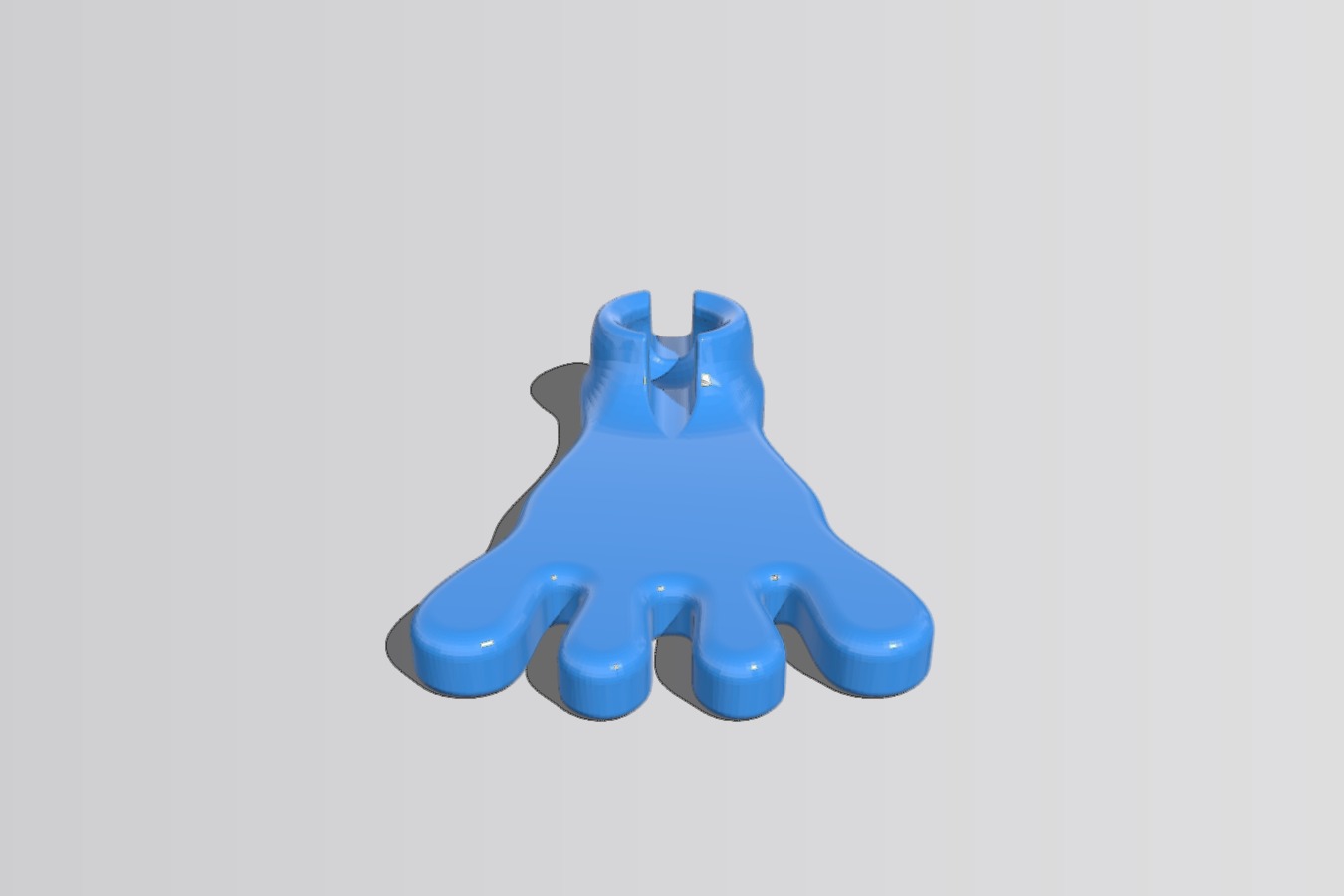 Foot
