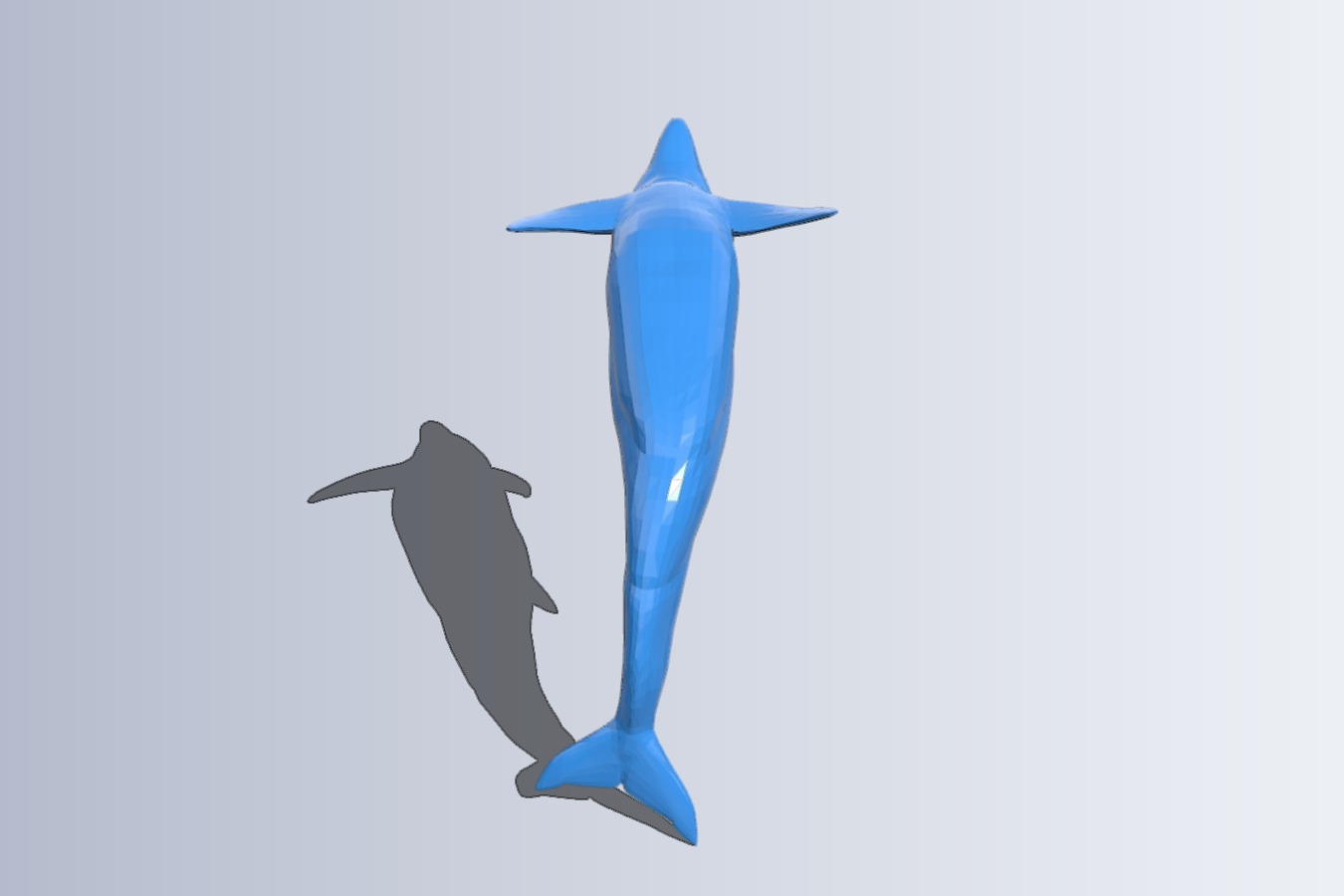 Dolphin swim