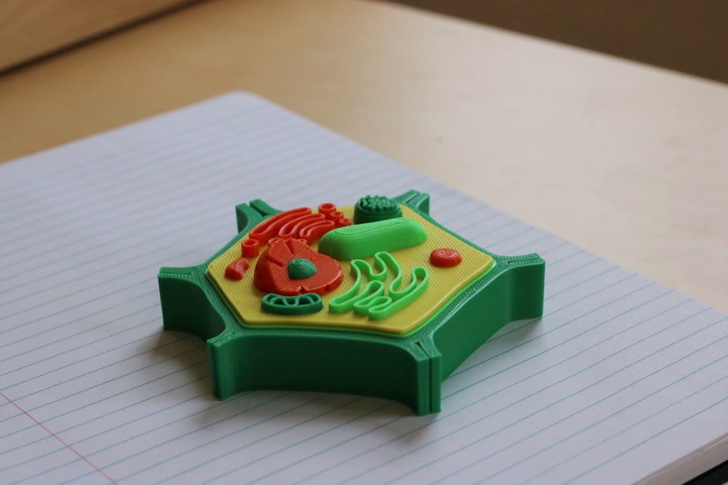 Multi-Color Mini Plant Cell