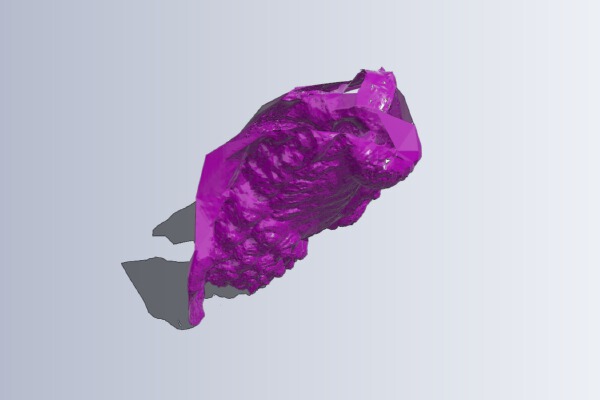 Asian lion | 3d print model