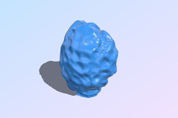 Glass brain coral (1) scanned with 123D Catch | 3d print model