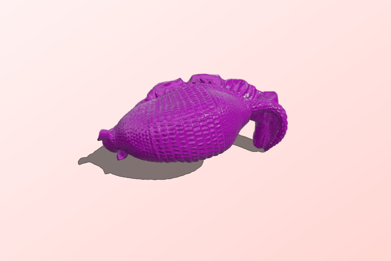 Armadillo