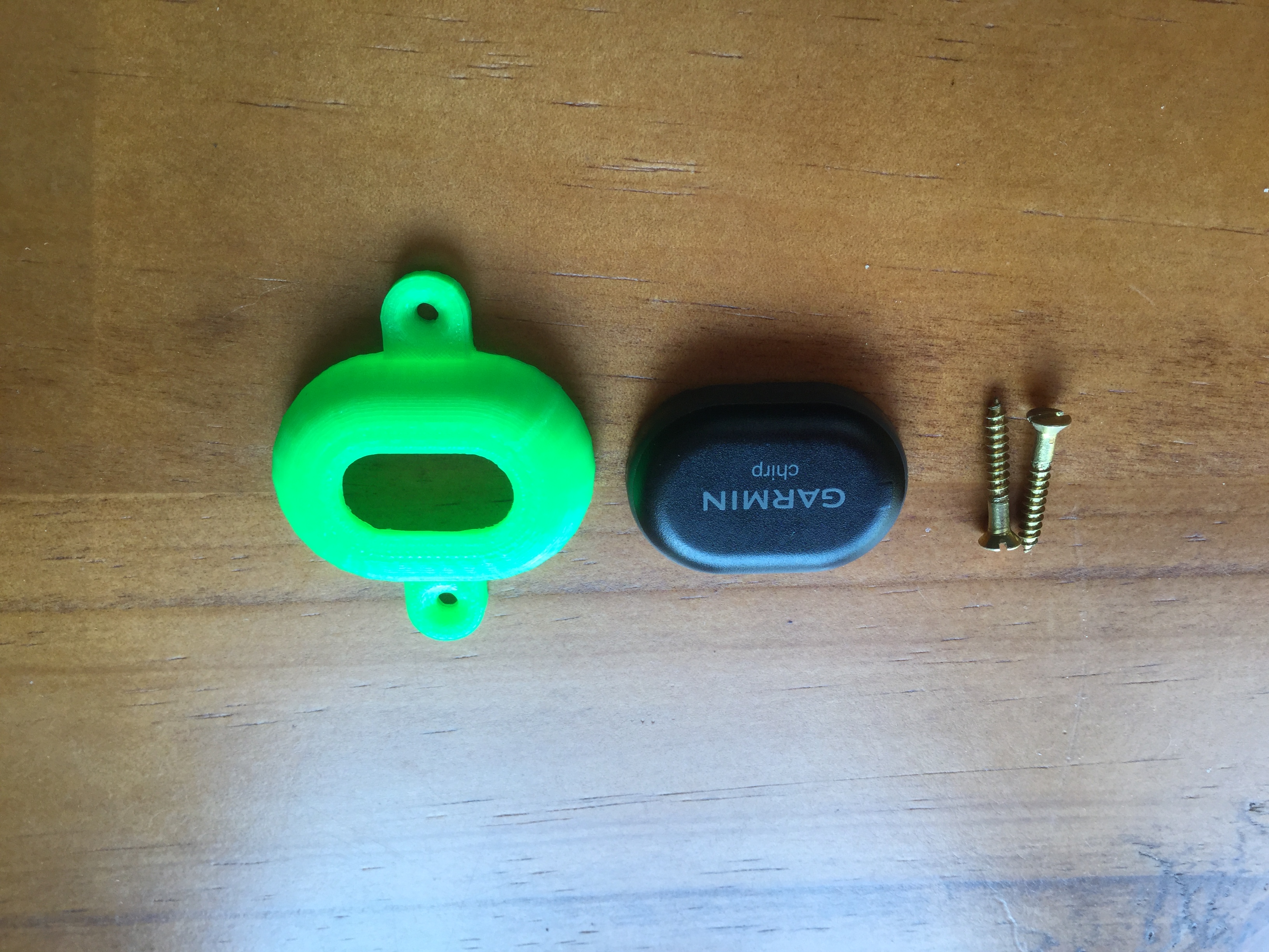 Garmin Chirp geocaching mount