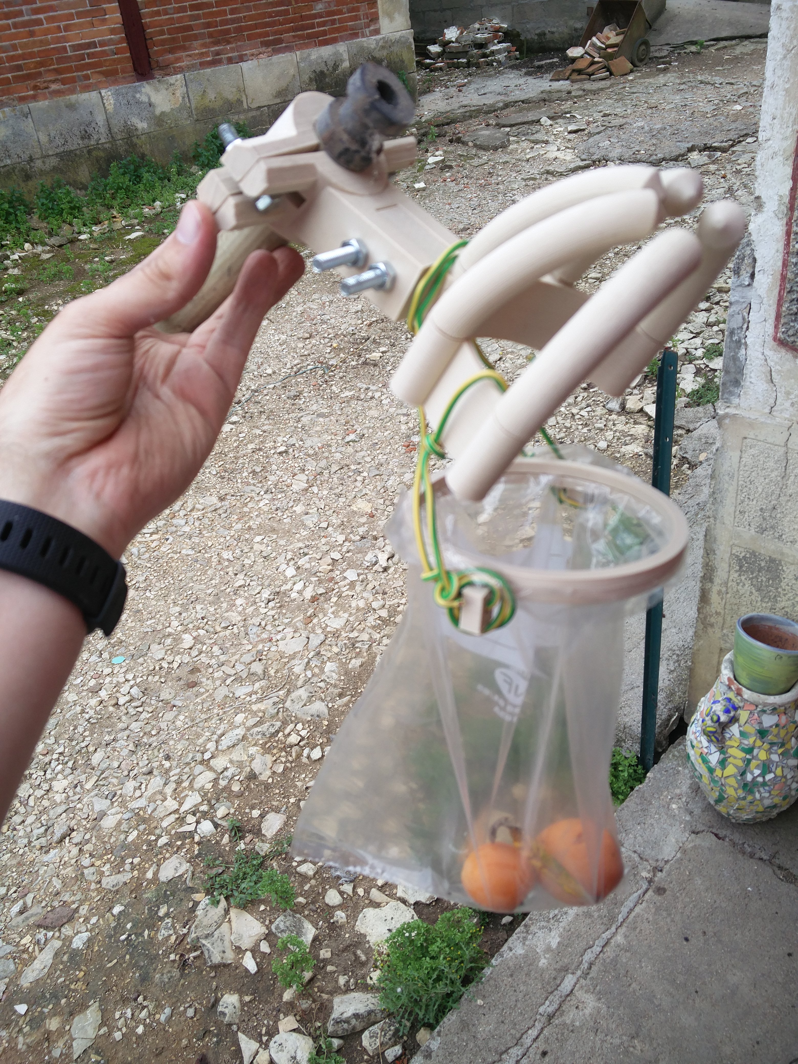 Attrape Fruits_Fruits catcher