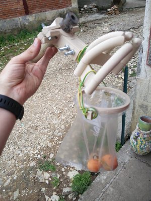 Attrape Fruits_Fruits catcher | 3d print model