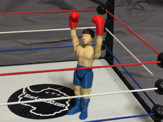 Boxer Zach | 3d print model