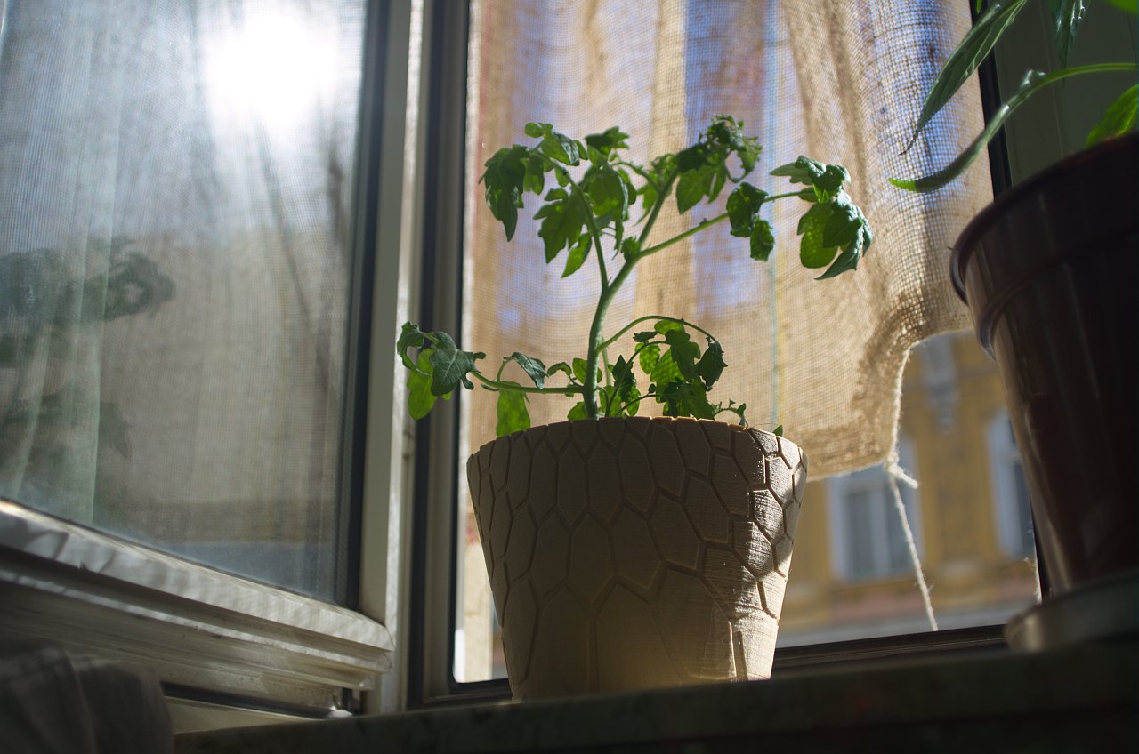 honeycomb planter #2
