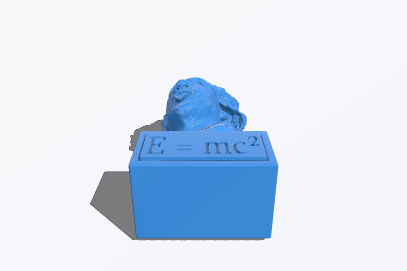 Bust of Einstein