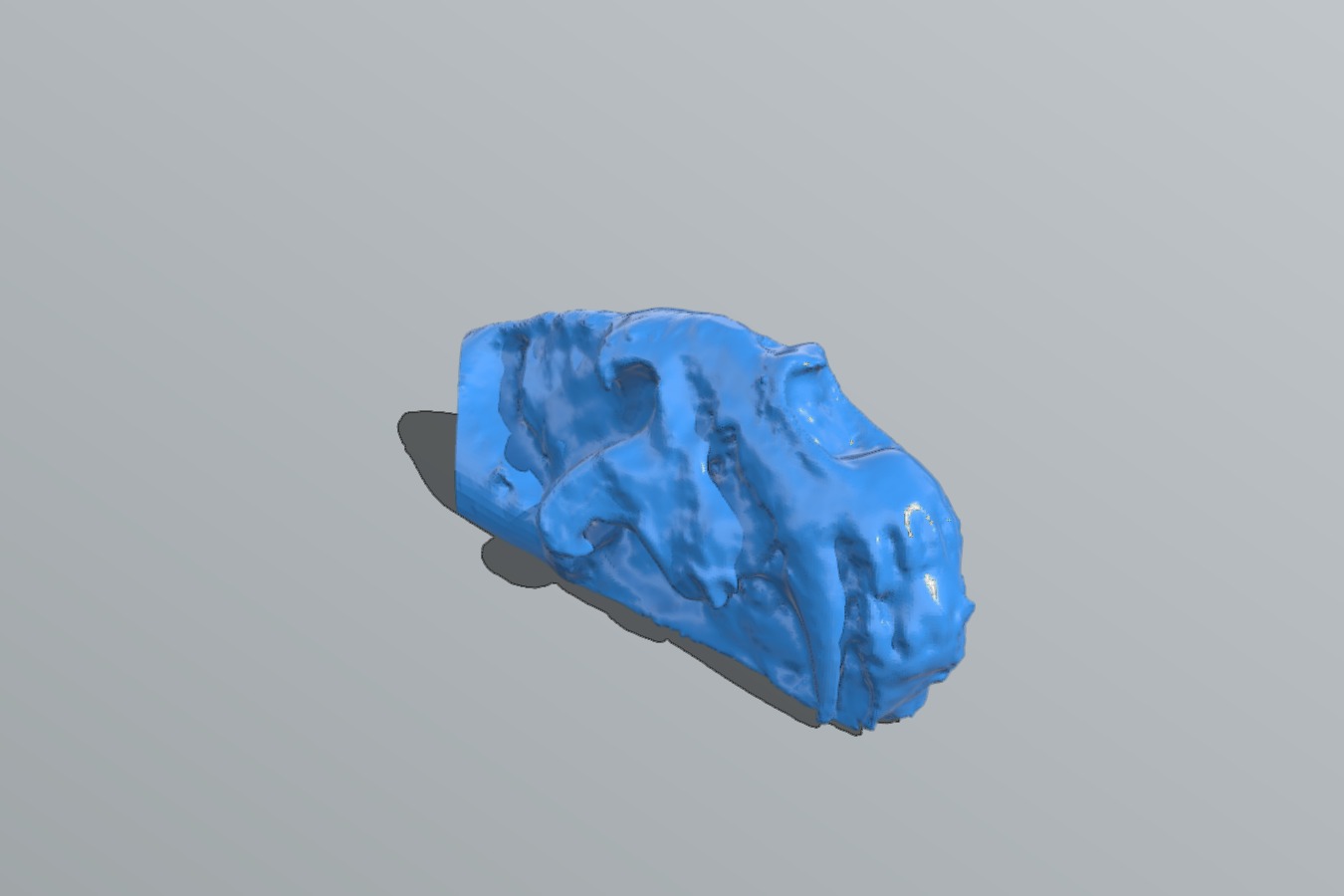 Homotherium sp.